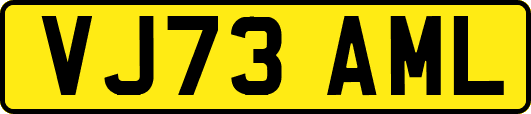 VJ73AML