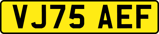 VJ75AEF