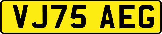 VJ75AEG