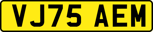 VJ75AEM