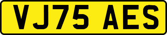 VJ75AES