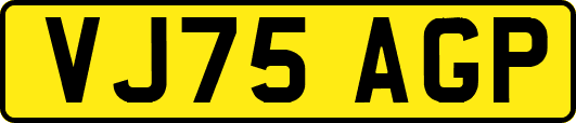 VJ75AGP