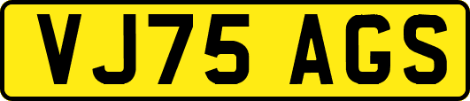 VJ75AGS