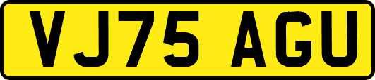 VJ75AGU