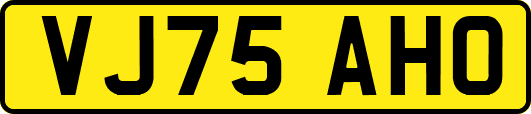 VJ75AHO