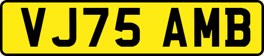 VJ75AMB