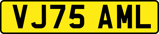 VJ75AML