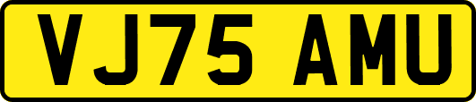 VJ75AMU
