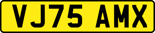 VJ75AMX