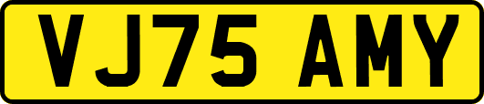 VJ75AMY