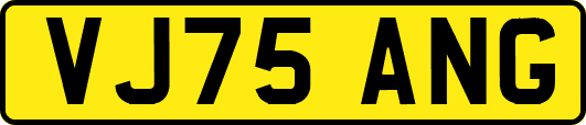 VJ75ANG