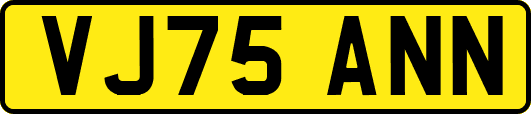 VJ75ANN