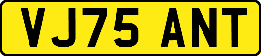 VJ75ANT