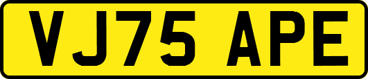 VJ75APE