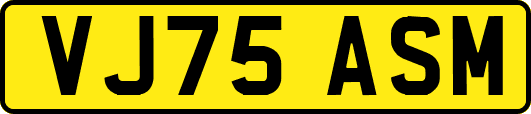 VJ75ASM