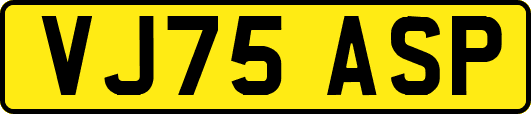VJ75ASP