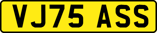VJ75ASS