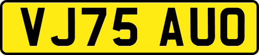 VJ75AUO