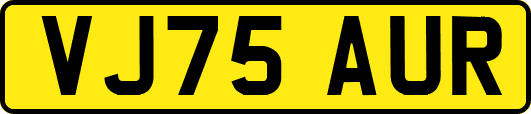 VJ75AUR