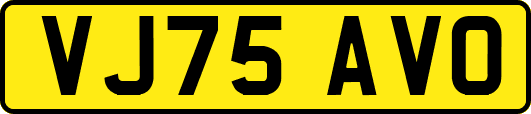 VJ75AVO