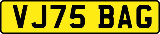 VJ75BAG