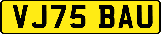 VJ75BAU