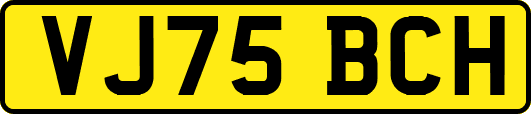 VJ75BCH