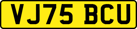 VJ75BCU