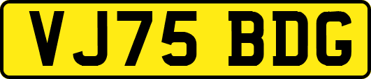 VJ75BDG