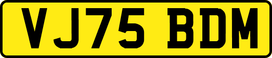VJ75BDM