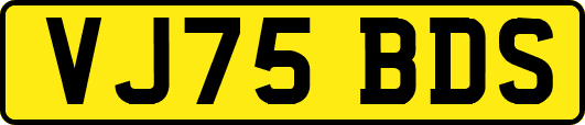 VJ75BDS