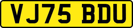 VJ75BDU