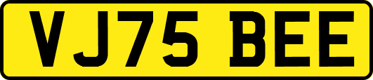 VJ75BEE