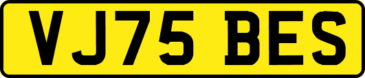 VJ75BES