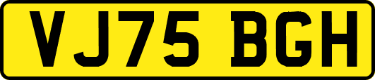 VJ75BGH