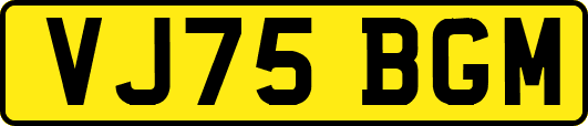 VJ75BGM