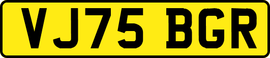 VJ75BGR