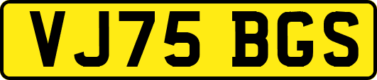 VJ75BGS
