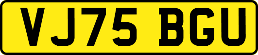 VJ75BGU