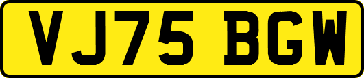 VJ75BGW