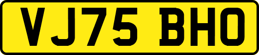 VJ75BHO