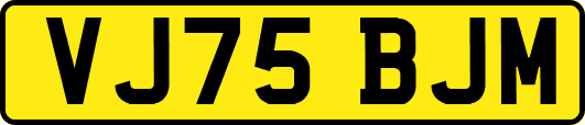 VJ75BJM