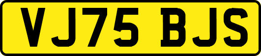VJ75BJS