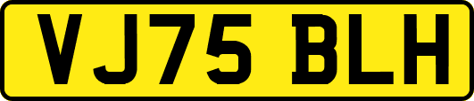 VJ75BLH