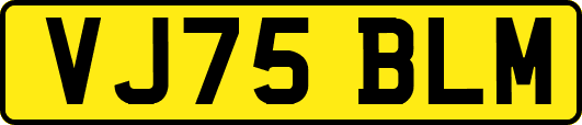 VJ75BLM