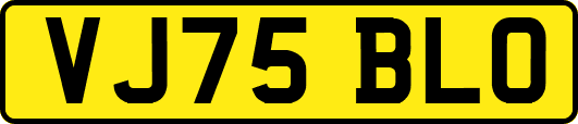 VJ75BLO