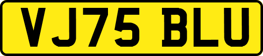 VJ75BLU