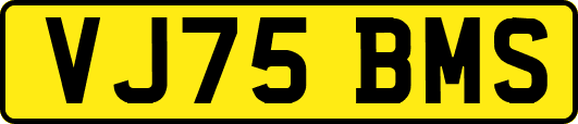 VJ75BMS