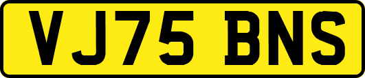 VJ75BNS