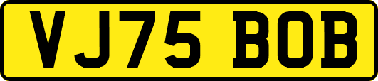 VJ75BOB